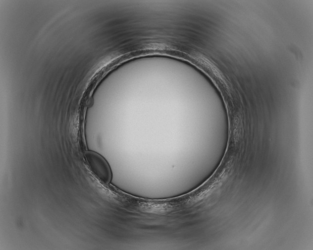 X0000112070831200908181218