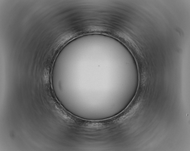 X0000112070833200908181218