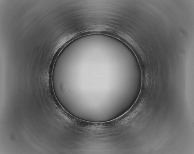 X0000112070834200908181218