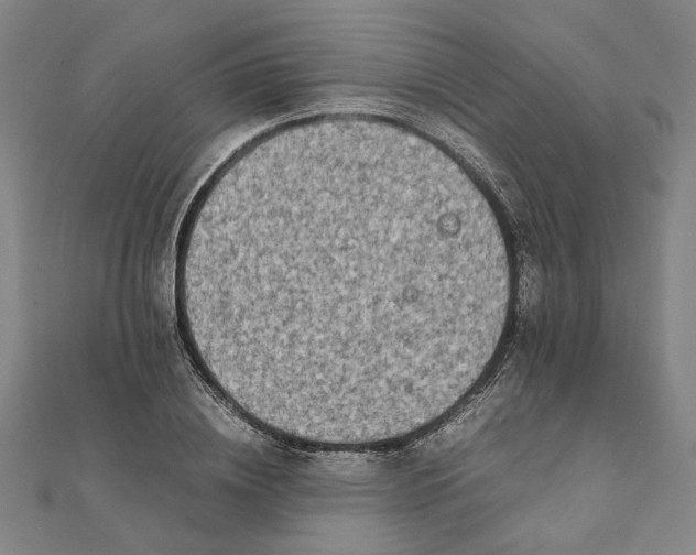 X0000112070836200908181218