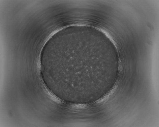 X0000112070837200908181218