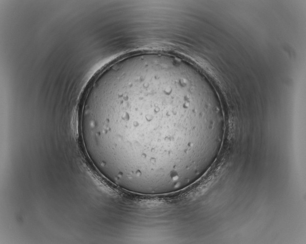 X0000112070838200908181218