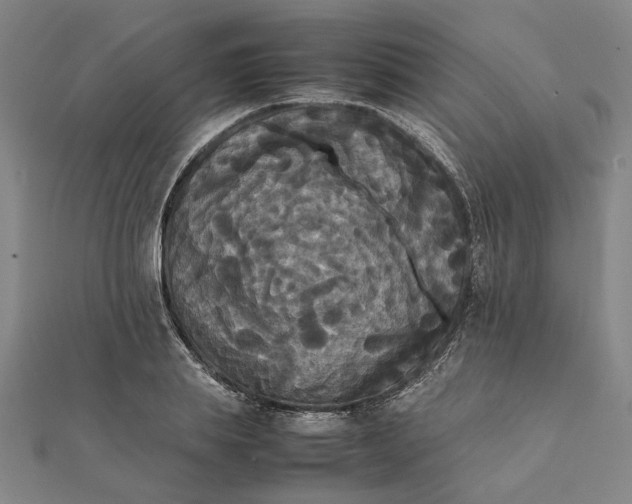 X0000112070839200908181218