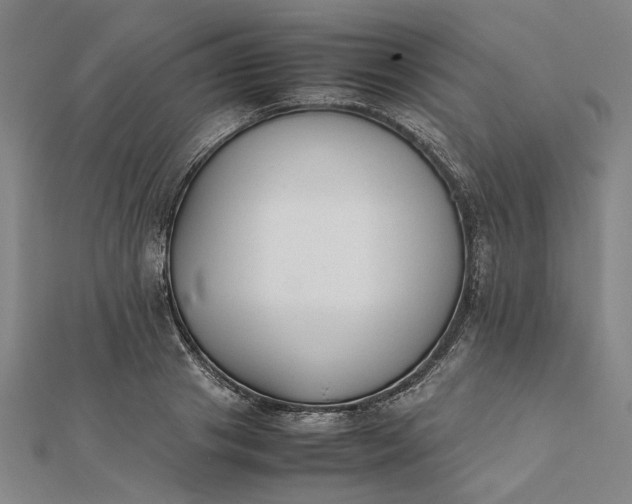 X0000112070841200908181218