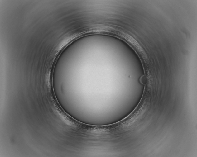 X0000112070842200908181218