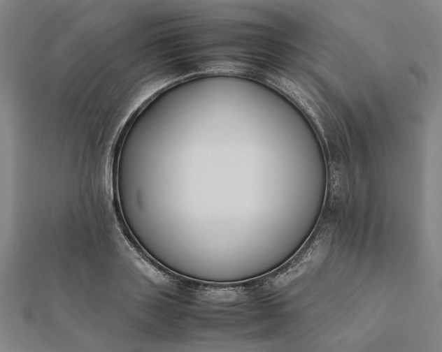 X0000112070843200908181218