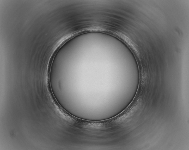 X0000112070845200908181218