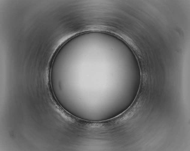 X0000112070846200908181218