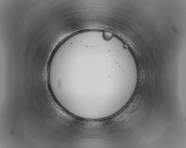 X0000112070848200908181218