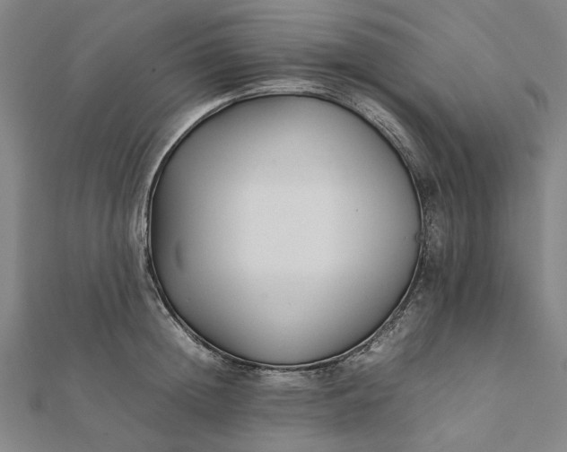 X0000112070852200908181218