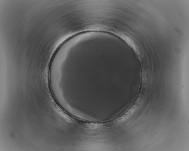 X0000112070854200908181218