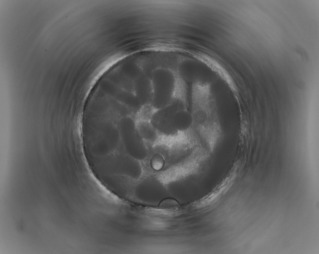 X0000112070855200908181218