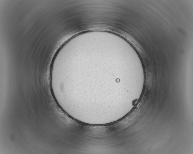 X0000112070856200908181218