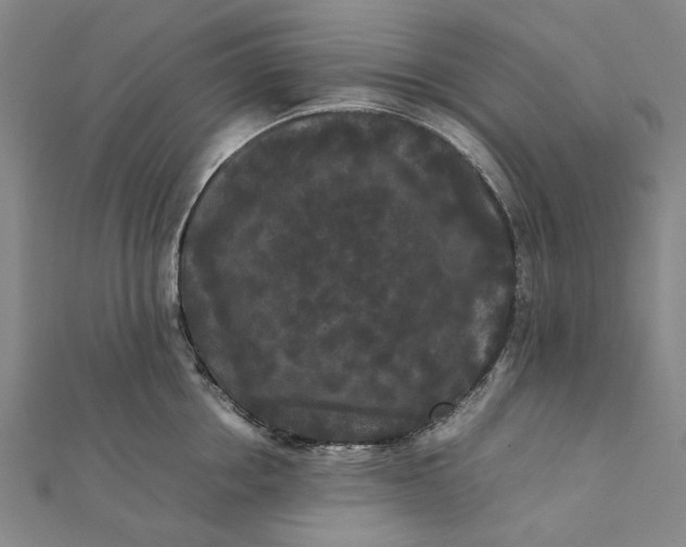 X0000112070858200908181218