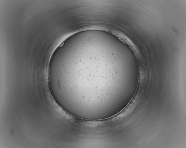 X0000112070860200908181218