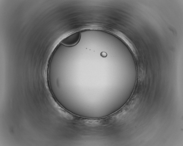 X0000112070861200908181218