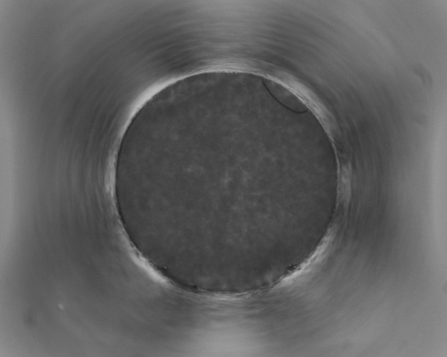 X0000112070862200908181218