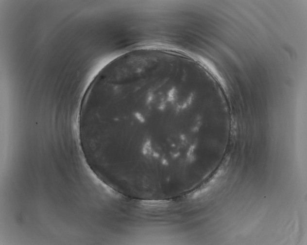 X0000112070863200908181218