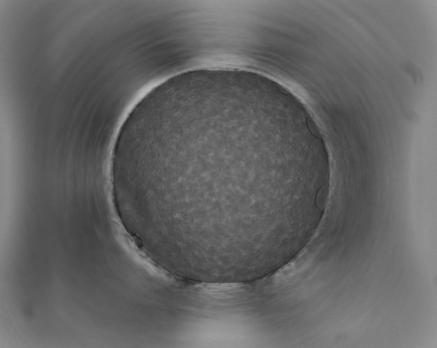 X0000112070864200908181218