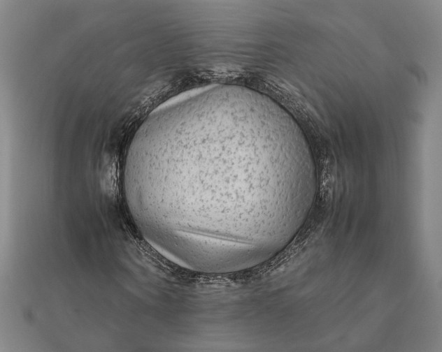 X0000112070866200908181218