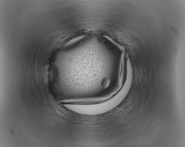 X0000112070868200908181218