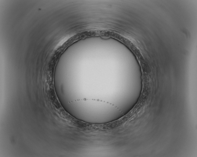 X0000112070871200908181218