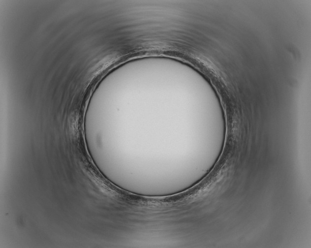 X0000112070873200908181218