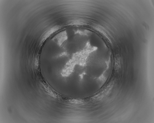 X0000112070874200908181218