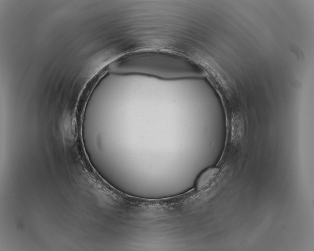 X0000112070876200908181218