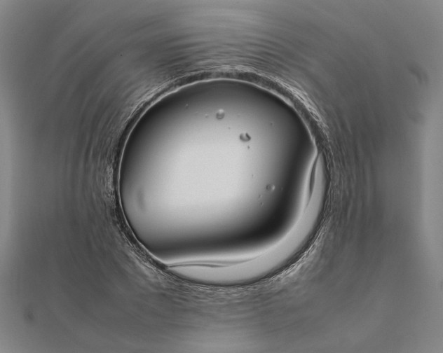 X0000112070881200908181217