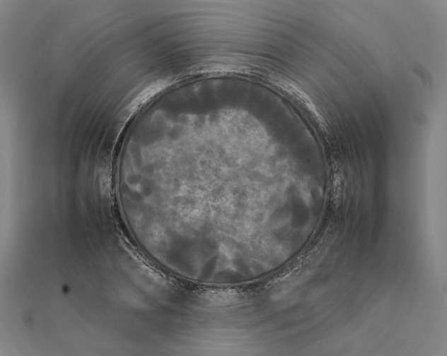 X0000112070882200908181217