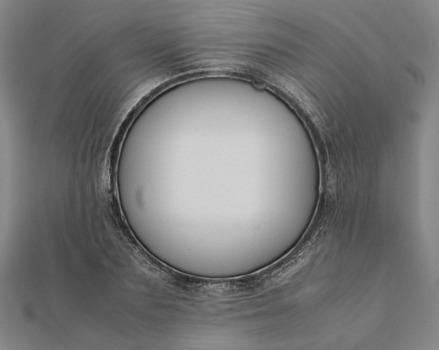 X0000112070883200908181217