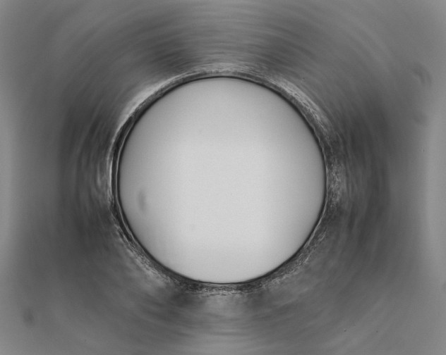 X0000112070886200908181217