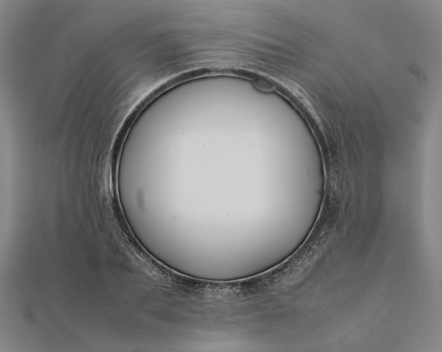 X0000112070887200908181217