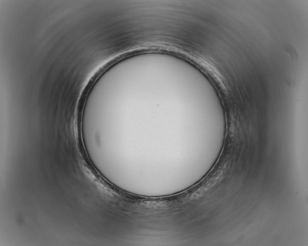 X0000112070888200908181217