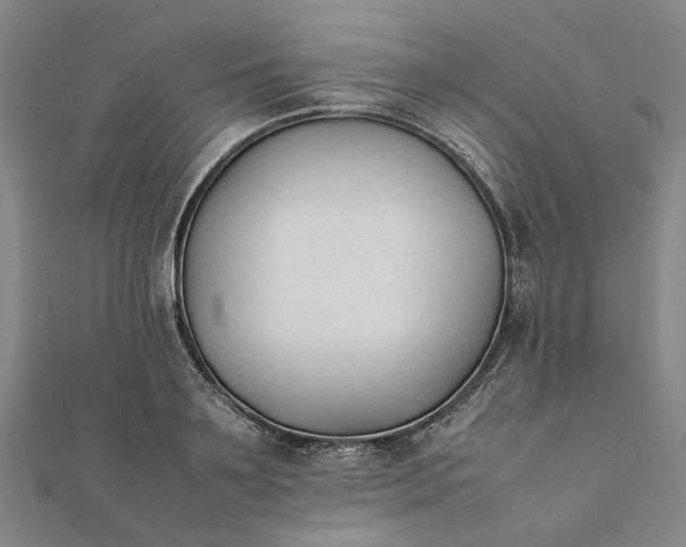 X0000112070891200908181217