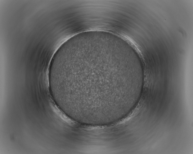 X0000112070892200908181217