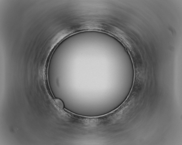 X0000112070893200908181217