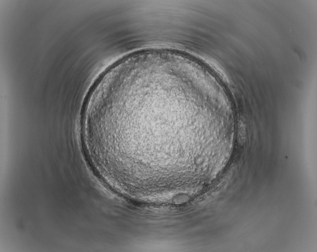 X0000112070895200908181217