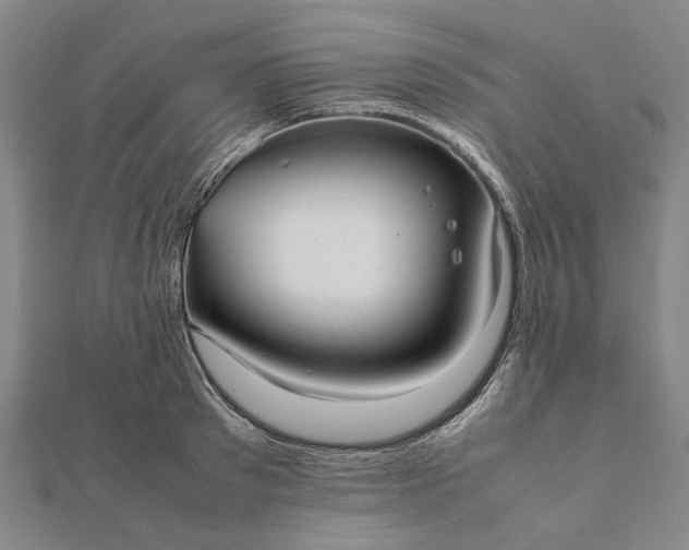 X0000112070897200908181217