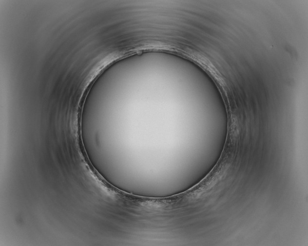 X0000112070898200908181217