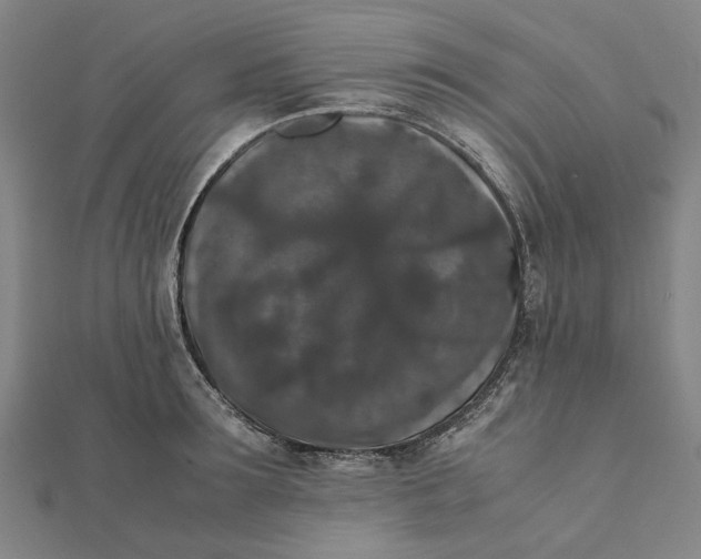 X0000112070899200908181217