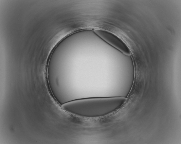 X0000112070901200908181217