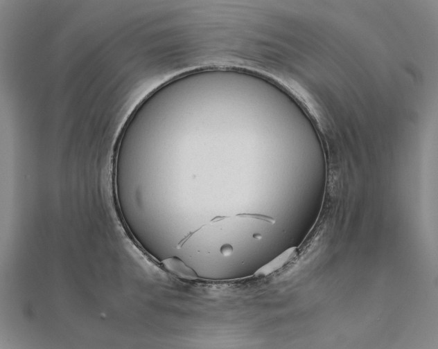 X0000112070903200908181217