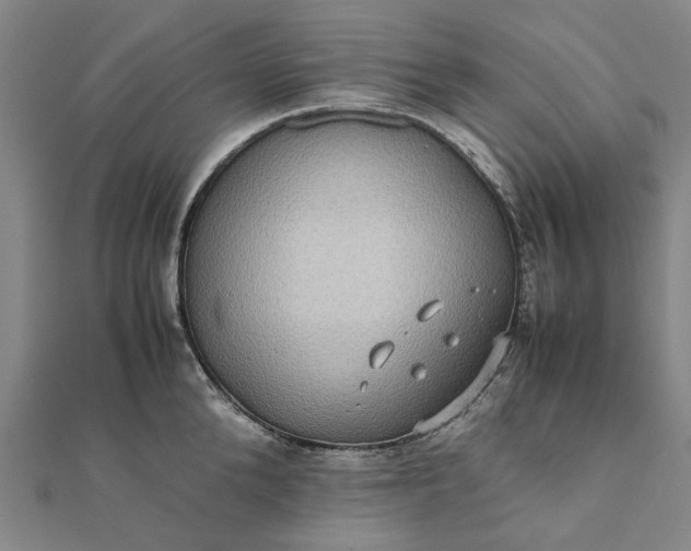 X0000112070904200908181217