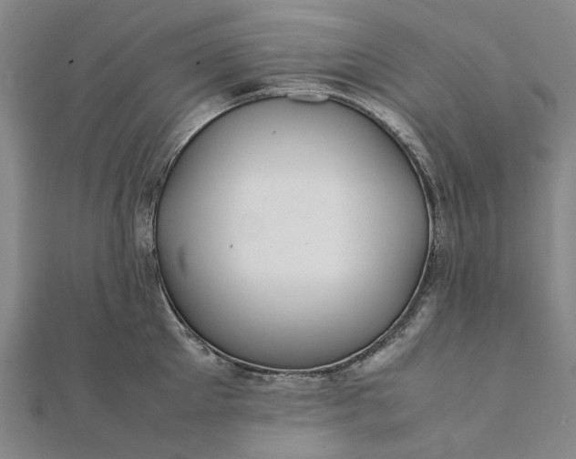 X0000112070905200908181217