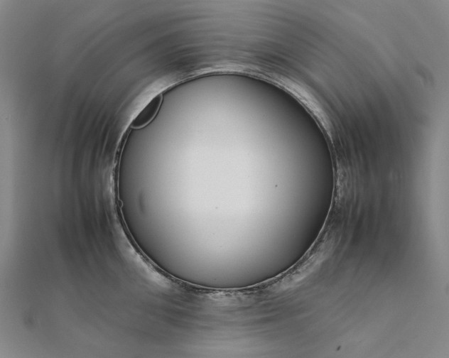 X0000112070906200908181217