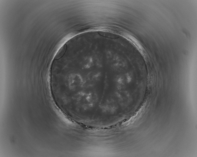 X0000112070907200908181217