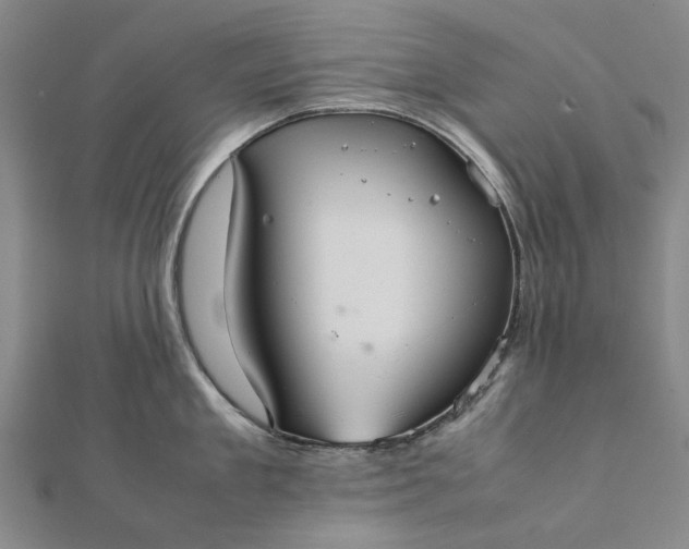 X0000112070909200908181217