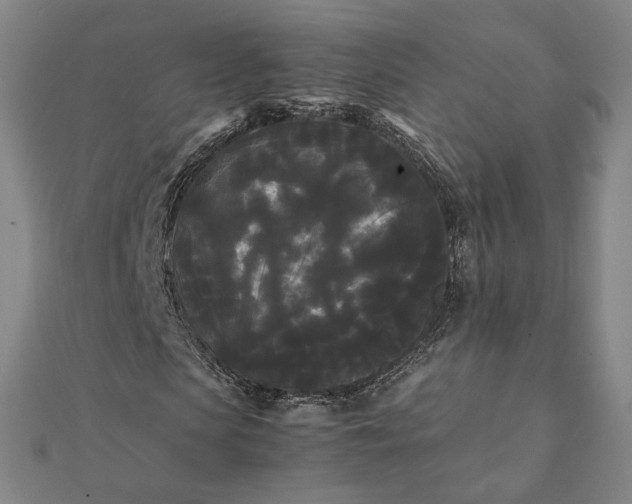 X0000112070913200908181216